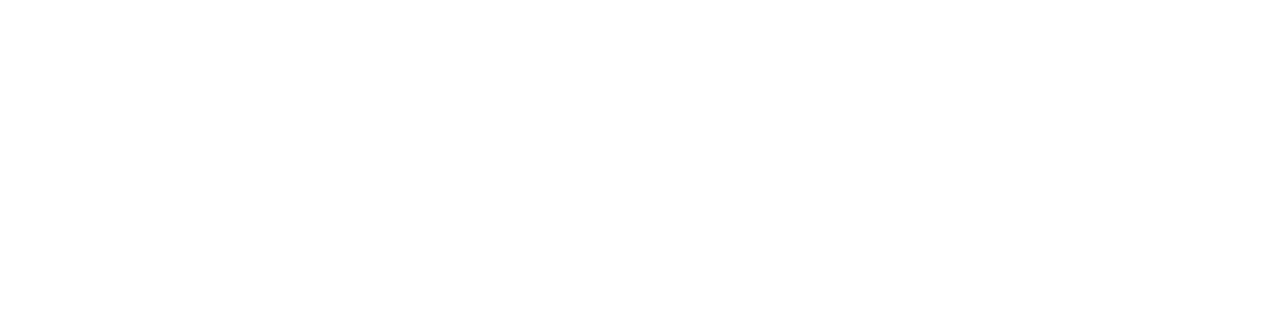 easywheel-logotype-white Location chaise roulante Genève
